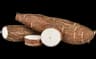 manioc