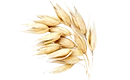 flocon d’avoine