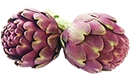 artichaut poivrade