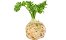 céleri