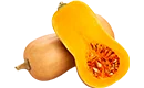 courge butternut