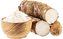 tapioca
