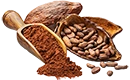 cacao en poudre