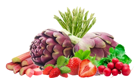 Ingrédients de printemps